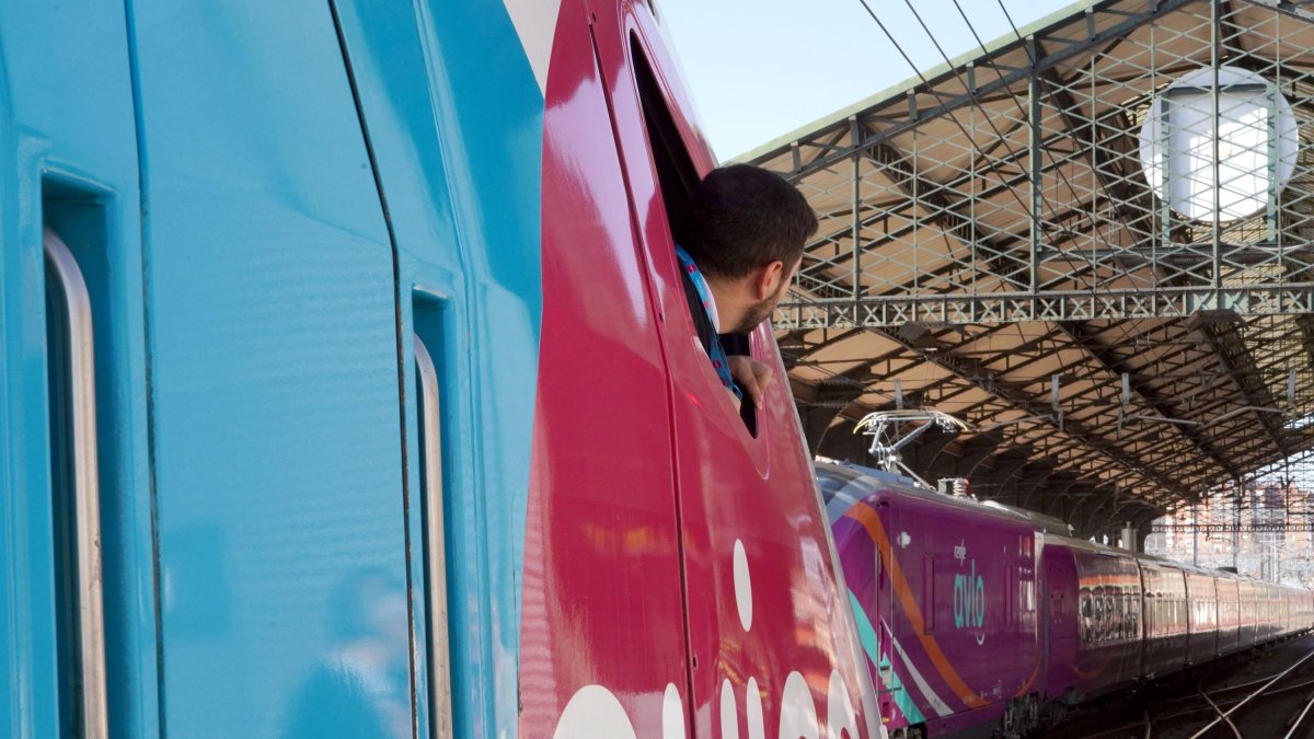 Un tren de Avlo pasa junto al tren de Ouigo en la estación de Valladolid