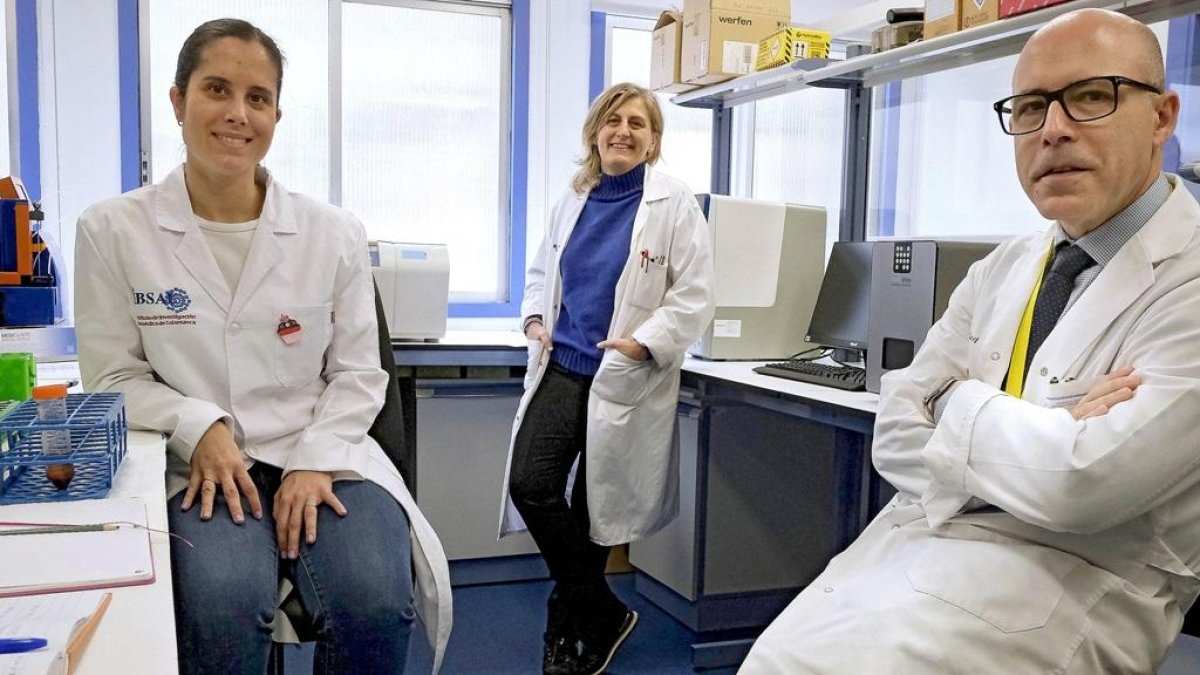 Equipo salmantino participante en el proyecto.