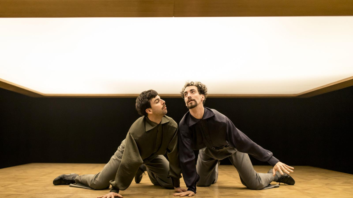 Espectáculo Los Perros de la compañía Led Silhouette