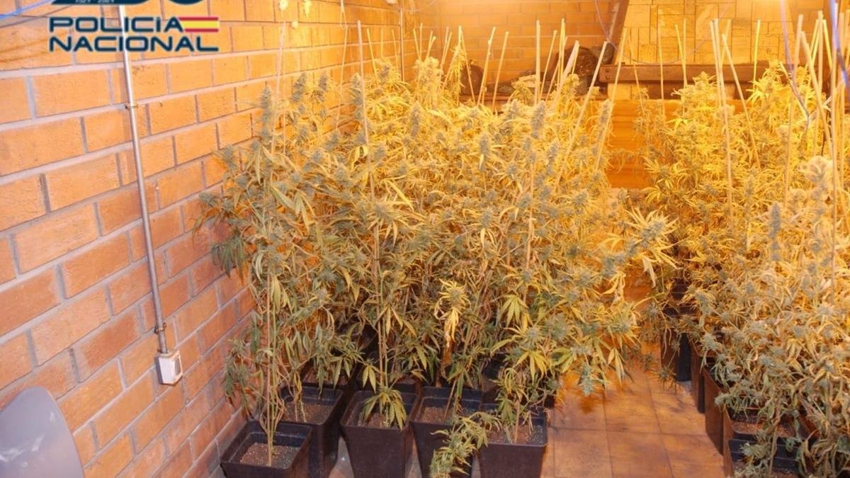 Una de las habitaciones de la finca donde se cultivaba marihuana.