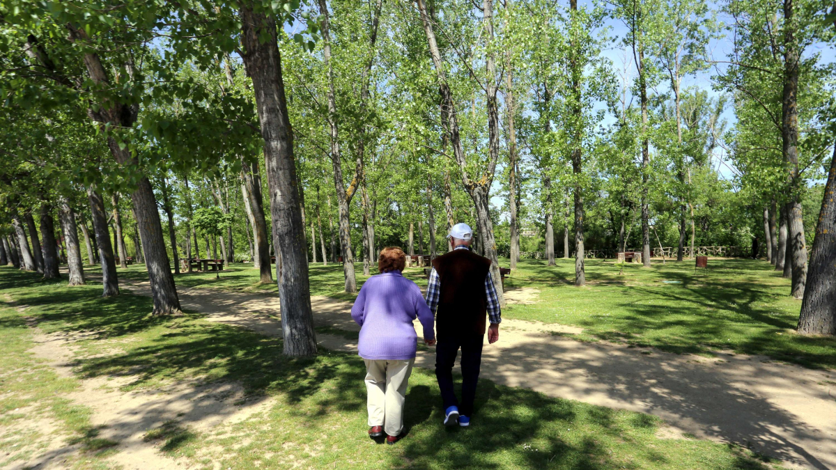 Una pareja de personas mayores pasea por el parque de la Ribera de Castilla.