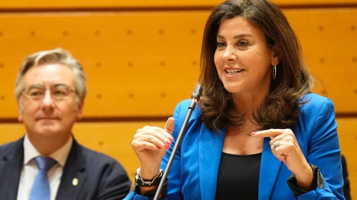 Arenales Serrano, senadora del PP por Valladolid.
