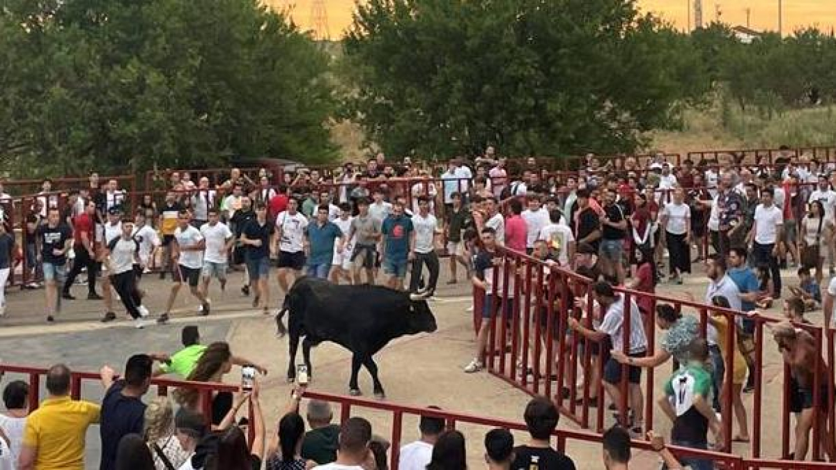 Un encierro urbano en Arroyo en una edición anterior de las fiestas por su patrón