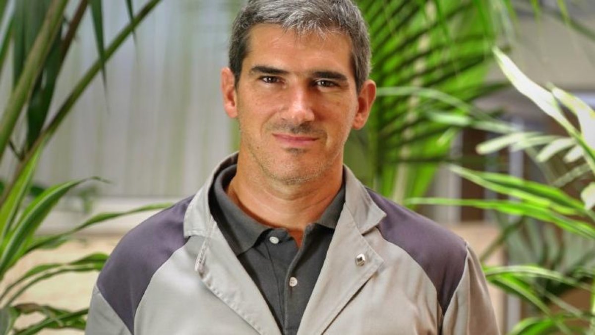 Diego Paulini