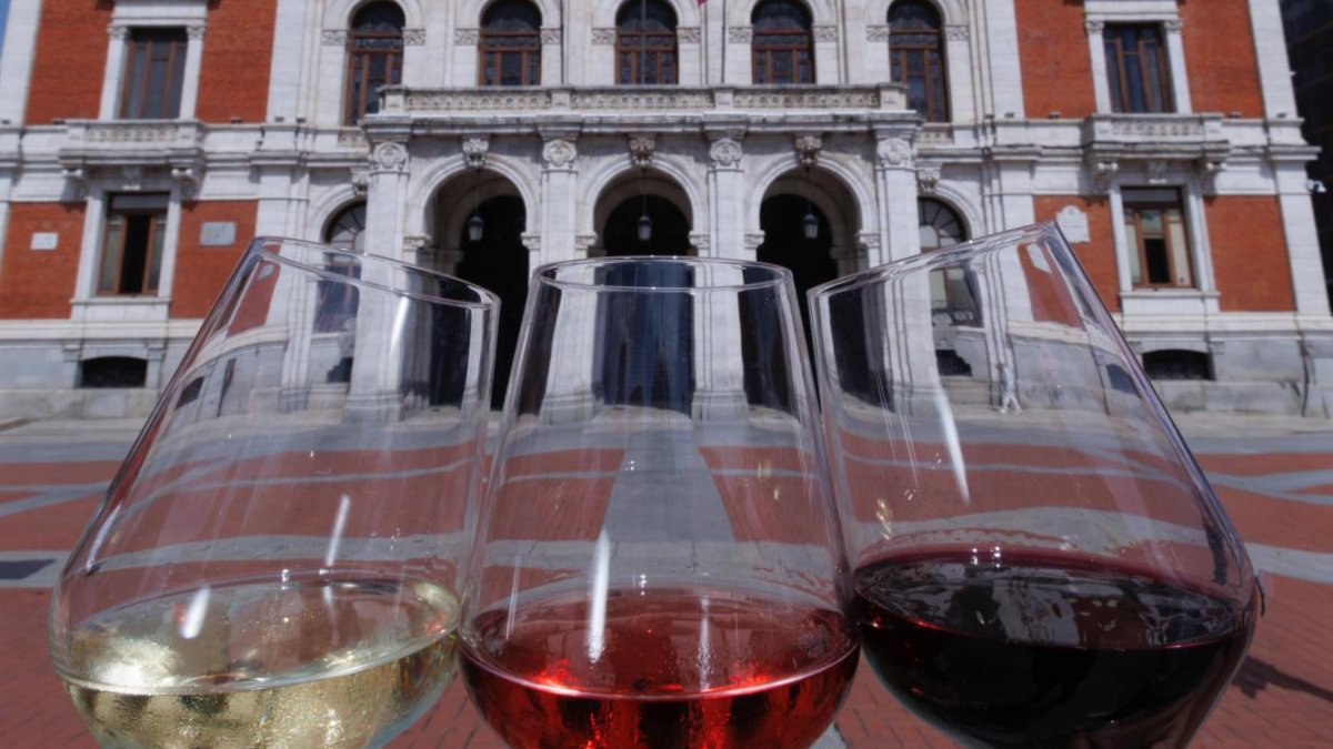 Imagen del Ayuntamiento de Valladolid de copas de vino de diferentes denominaciones