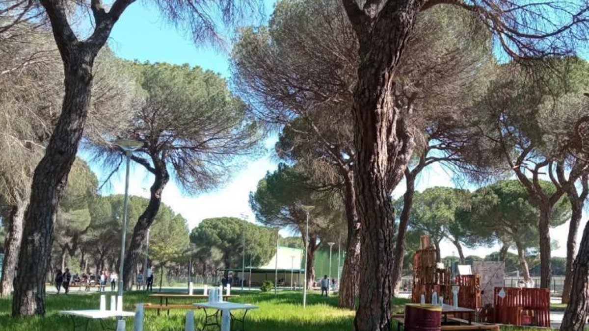 Imagen de archivo de la zona joven del Pinar de Antequera en Valladolid.
