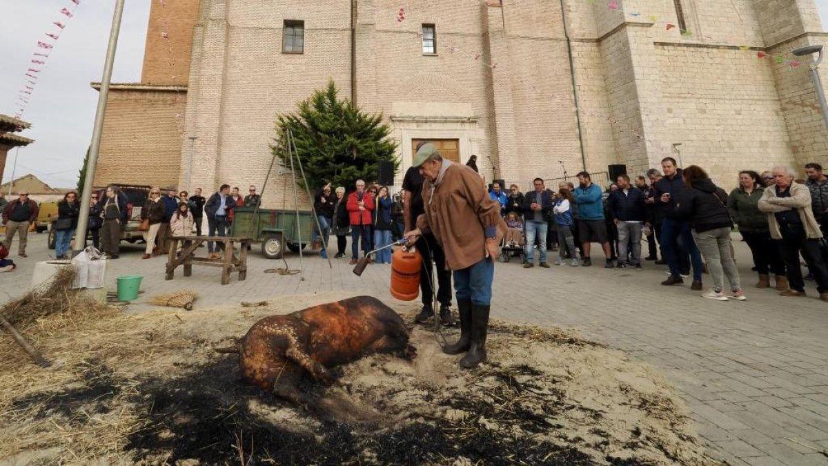 Jornada de la Matanza de Laguna de Duero en 2025