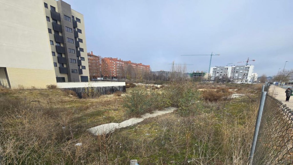 Parcela entre Eneldo y Frambuesa donde se construirá la promoción.