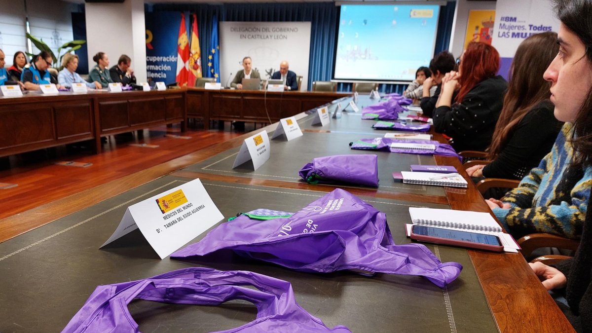 Presentación en la Subdelegación del Gobierno de las nuevas iniciativas de colectivos contra la violencia de género.