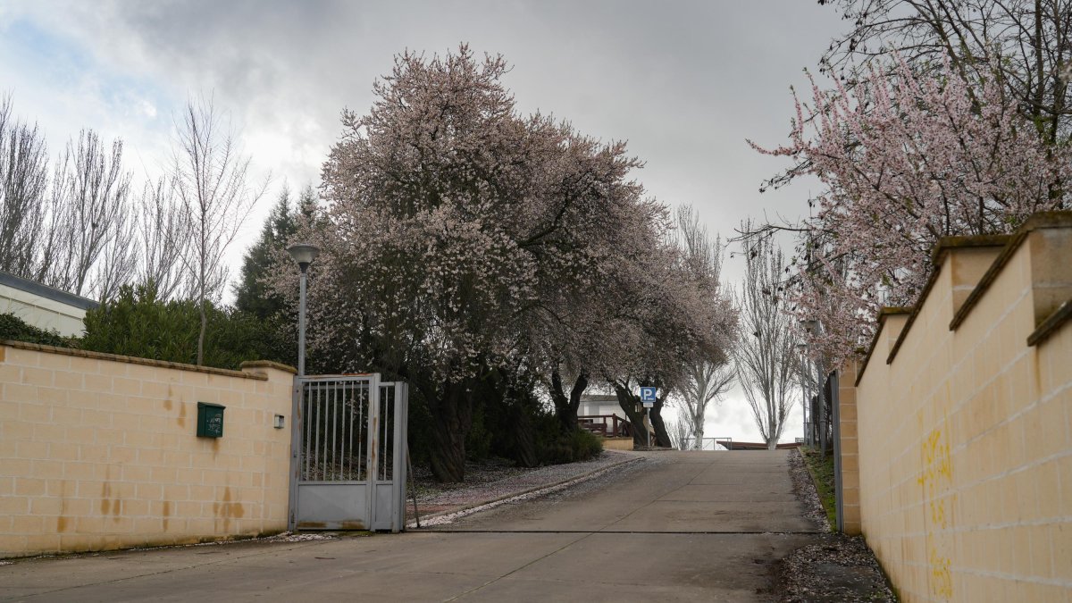 Acceso al centro de menores Zambrana