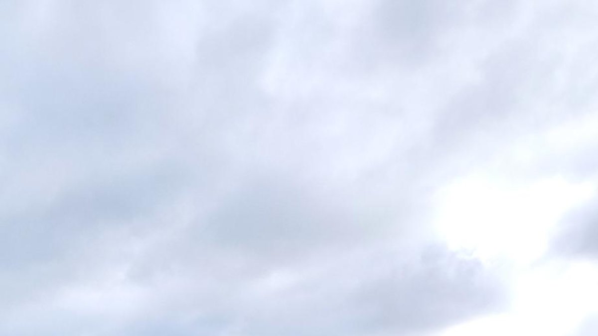 Rodrigo Muñoz con su ganado.