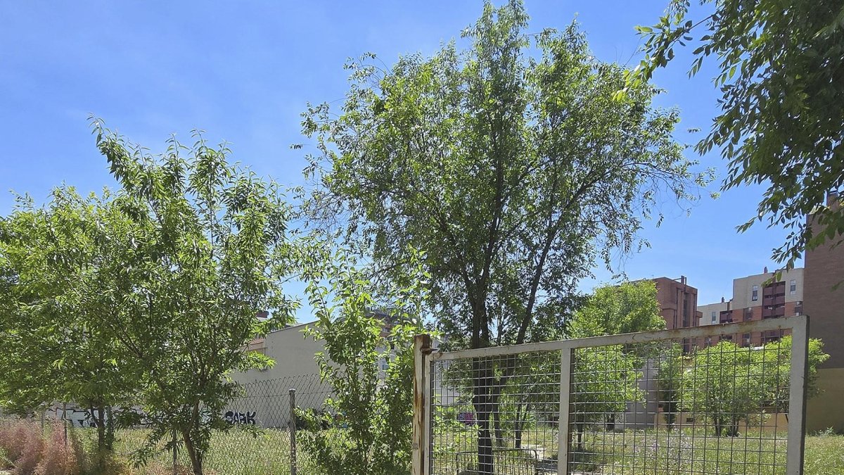 Parcela junto a la calle Gavilla, en Huerta del Rey, donde se construirán las 56 viviendas colaborativas.