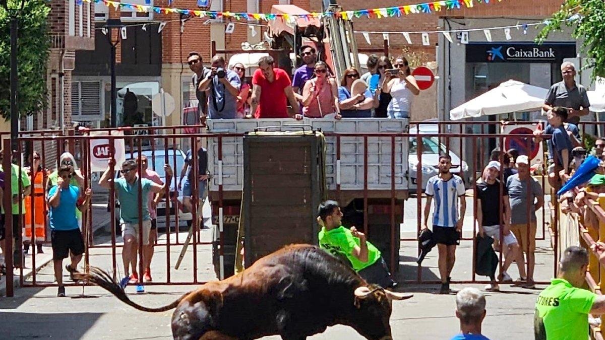 'Tekila' el Toro del Corpus, protagonizó este sábado un magnífico encierro en Zaratán.