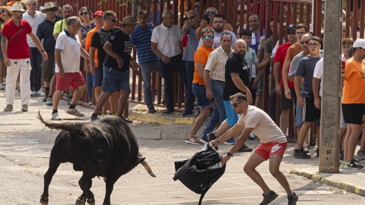 Imagen del quinto encierro de Rueda