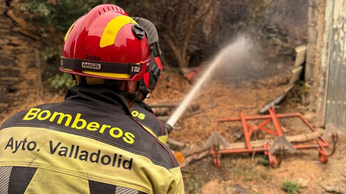 Participación de los bomberos de Valladolid en las labores de extindión de los incendios del Bierzo en León