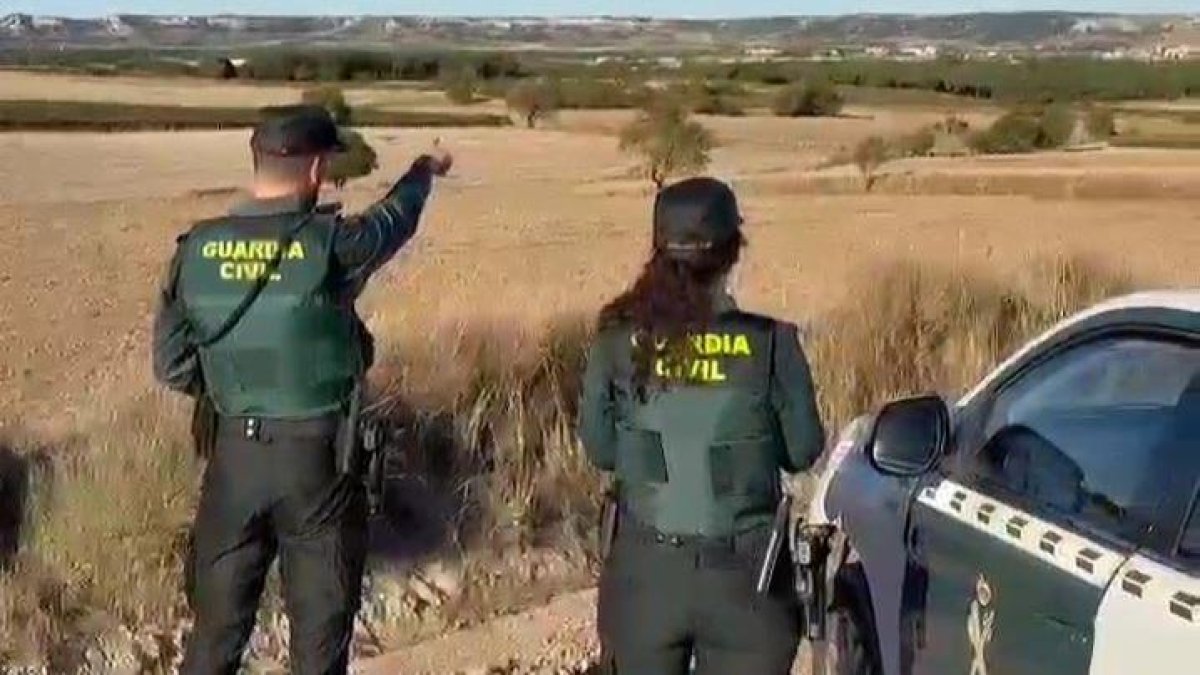 La Guardia Civil en un terreno.