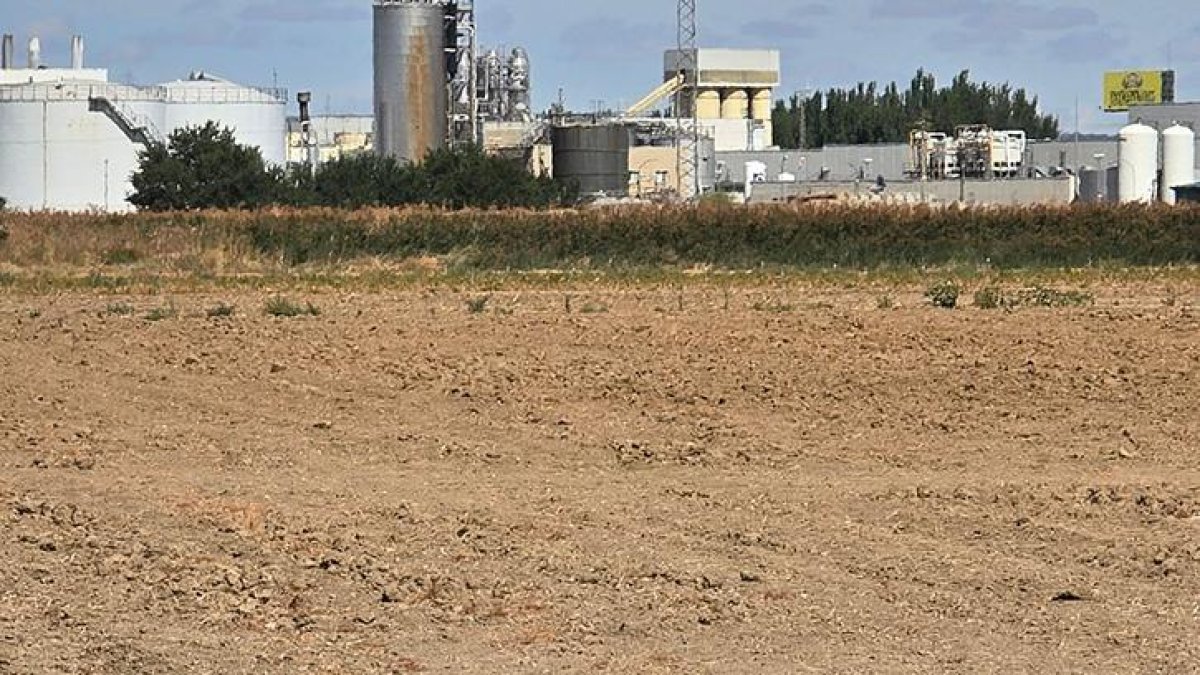 Terrenos del entorno de Palomares, donde se ubicaría la planta de Gotion.