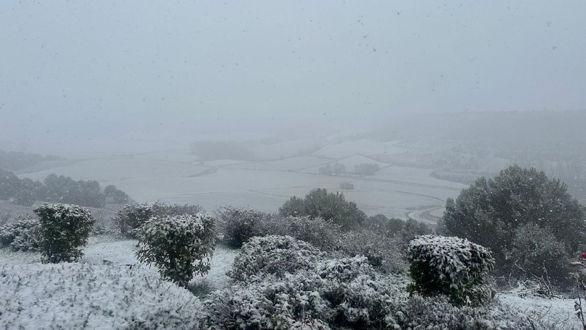 Imagenes de la nevada en la localidad vallisoletana de urueña.