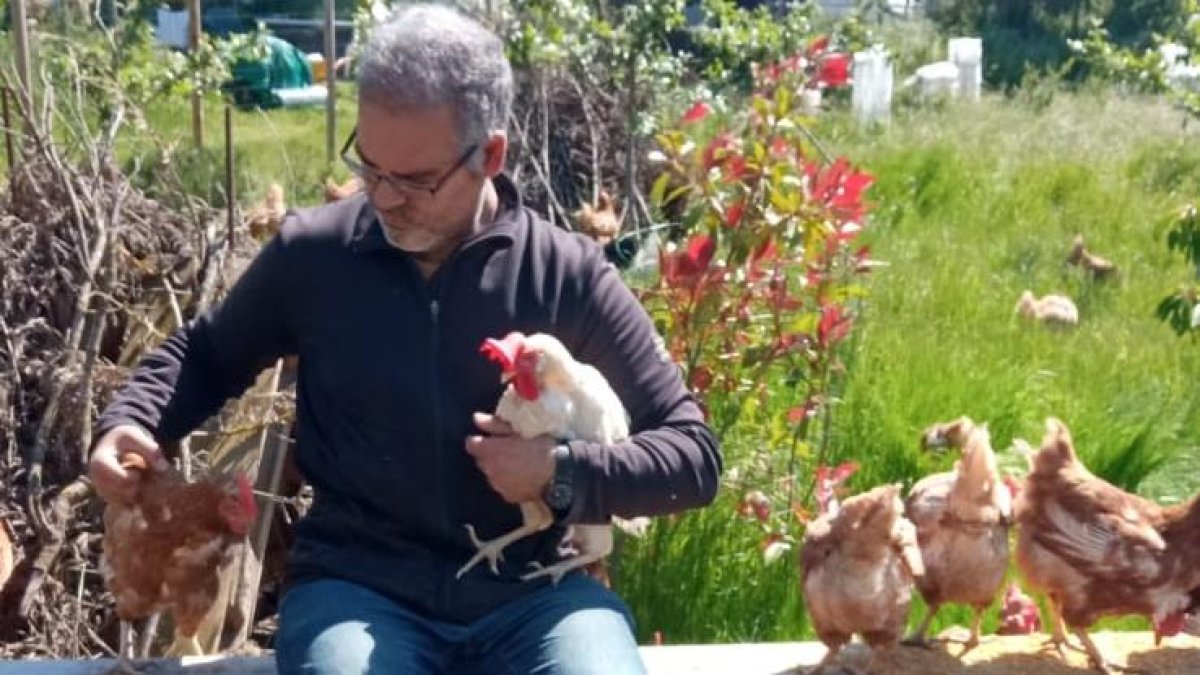 Javier Saiz recibirá el nuevo lote de 980 gallinas.