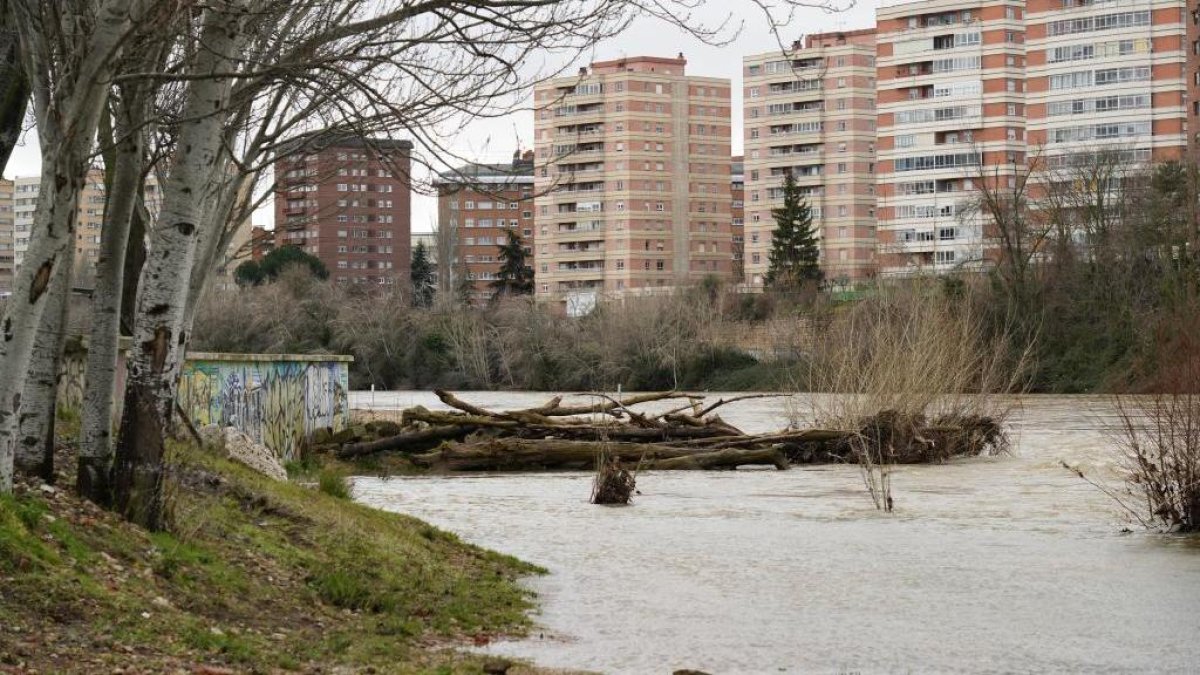 El río Pisuerga en Valladolid tras las crecidas por las borrascas