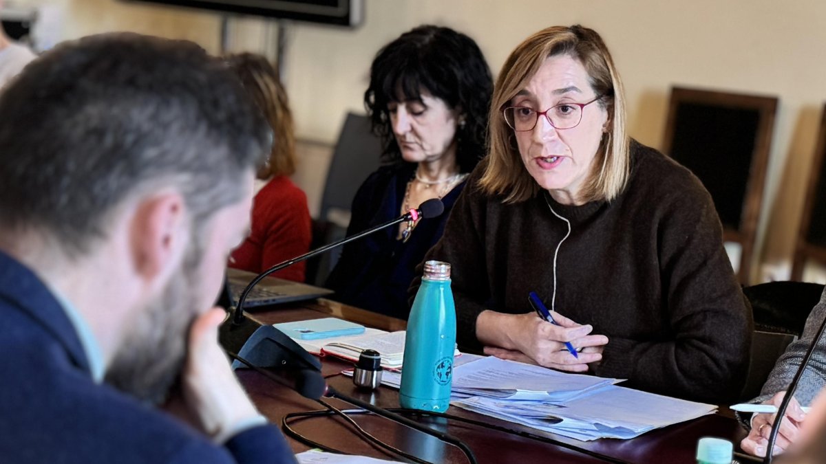 La portavoz de Valladolid Toma la Palabra, Rocío Anguita