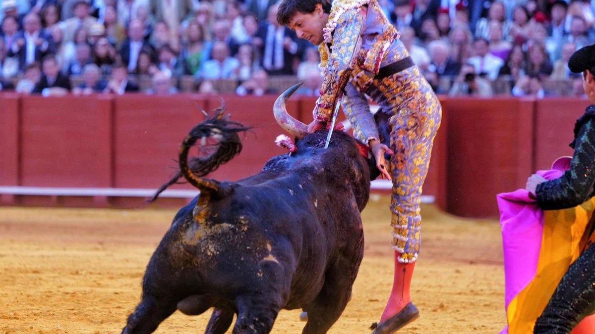 Cogida a Roca Rey en la Plaza de Toros de la Maestranza.