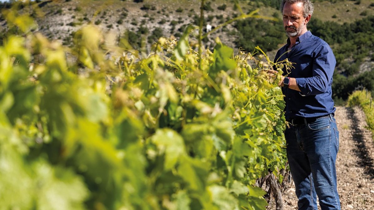 Rubén Iglesias, gerente y enólogo de la bodega Vega de Yuso.