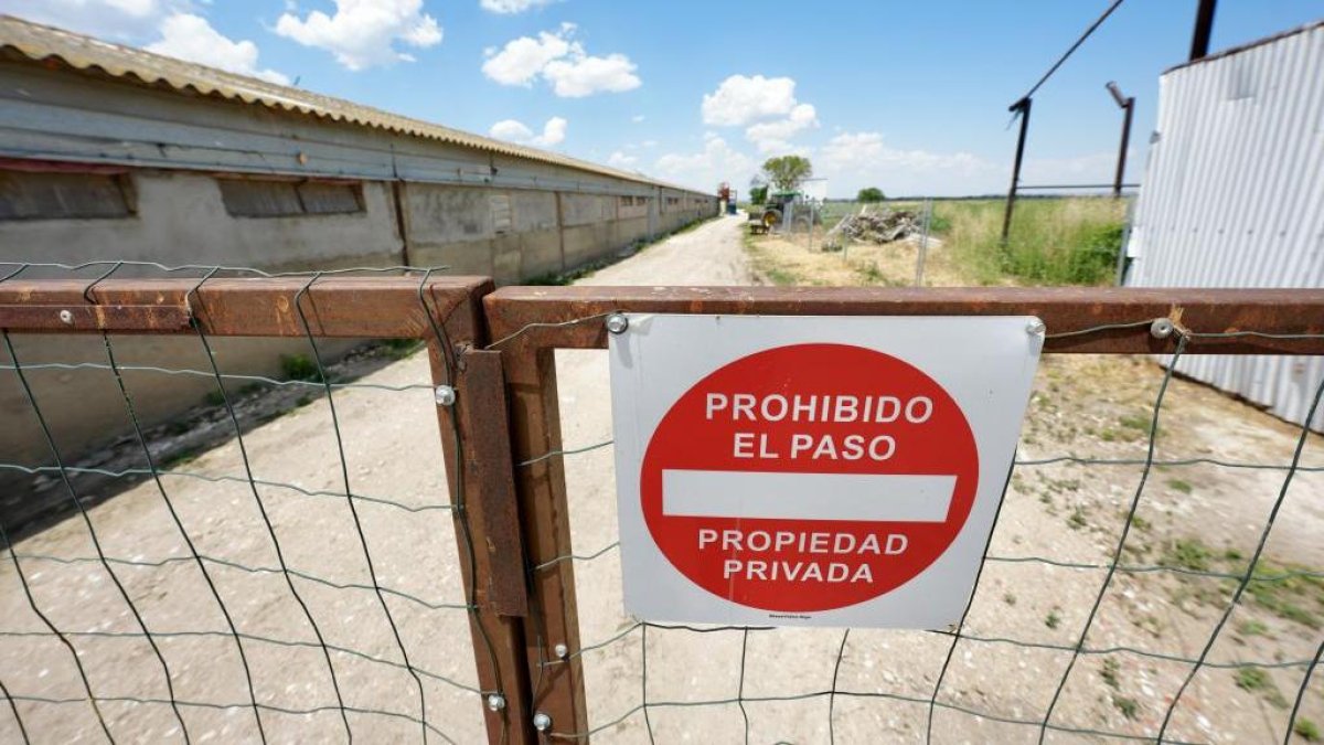 Granja avícola en Aldea de San Miguel donde surgió el primer foco de Enfermedad de Newcastle.