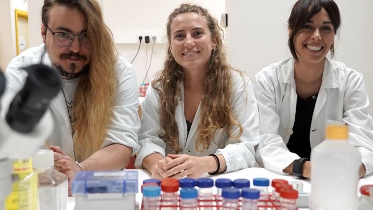 Rosa Dolores Prieto, del BioCritic y de la Unidad de Investigación del Clínico de Valladolid; Adrián García, investigador de este grupo y del CIBERINFEC, y la doctora Rocío López, del Servicio de Anestesiología del Clínico.