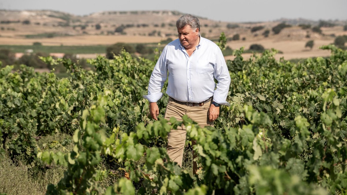 Enrique Pascual es el presidente del Consejo Regulador de la D. O. Ribera del Duero