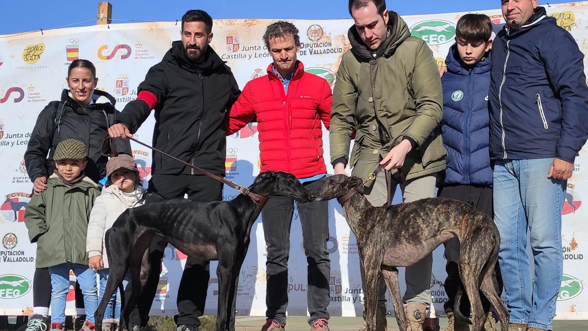 Galgos finalistas del campeonato de España 2025 en Nava del Rey