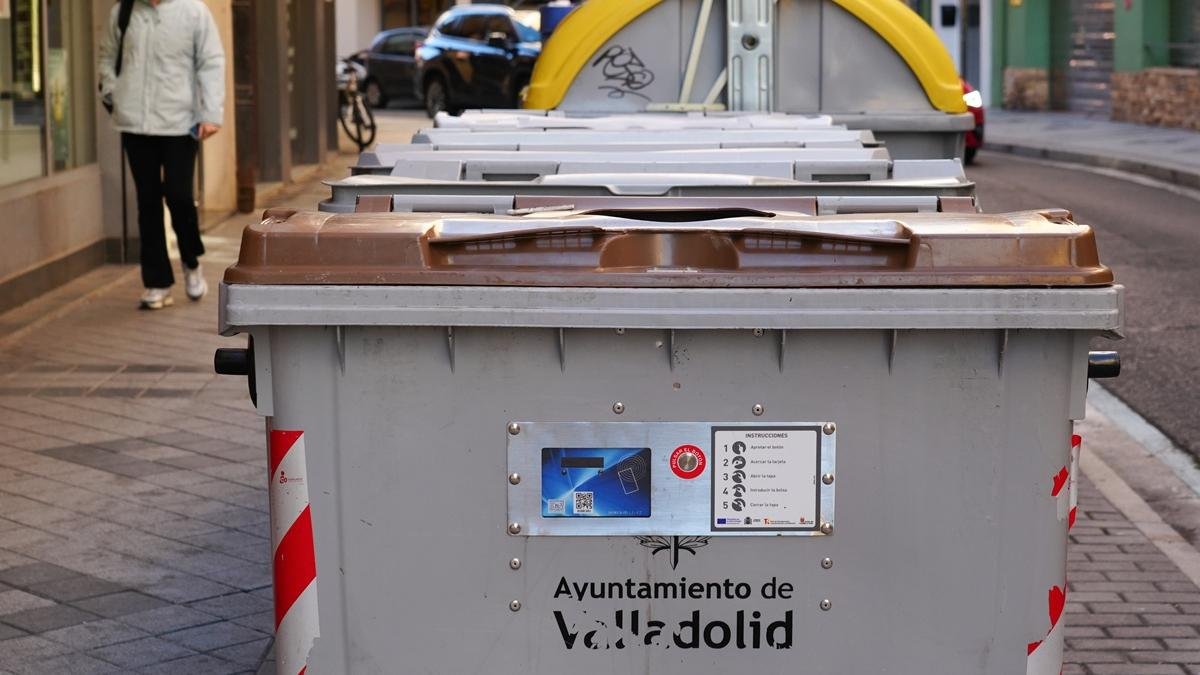 Pantalla en un contenedor de orgánico en la calle García Lesmes de Valladolid.
