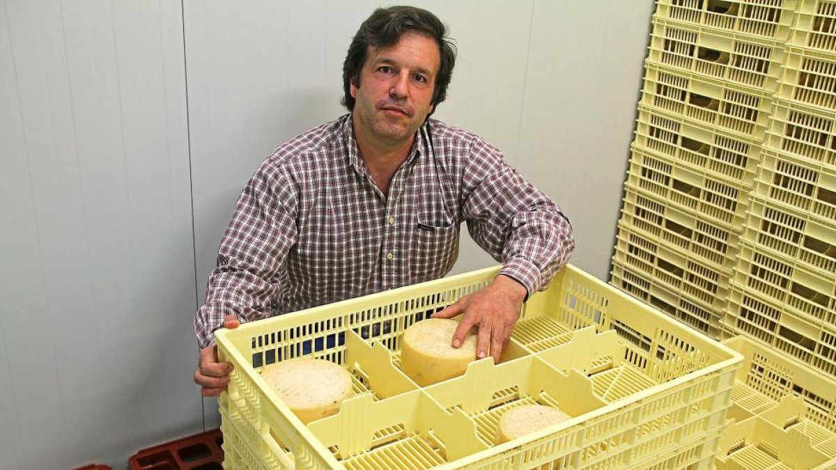 Javier Rivera Román muestra algunos de los quesos que reposan en la nave de oreado de la quesería artesana.-M.T.