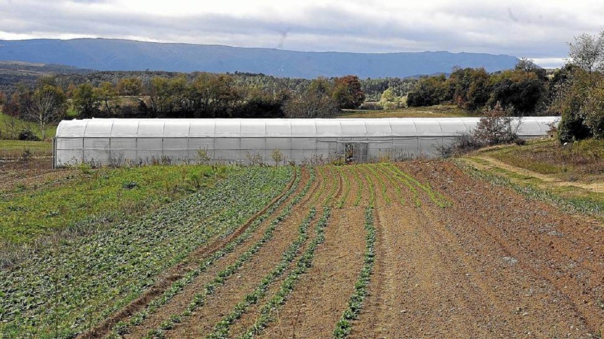 Ejemplo de agricultura ecológica en La Prada en el Valle de Tobalina (Burgos)-Ical