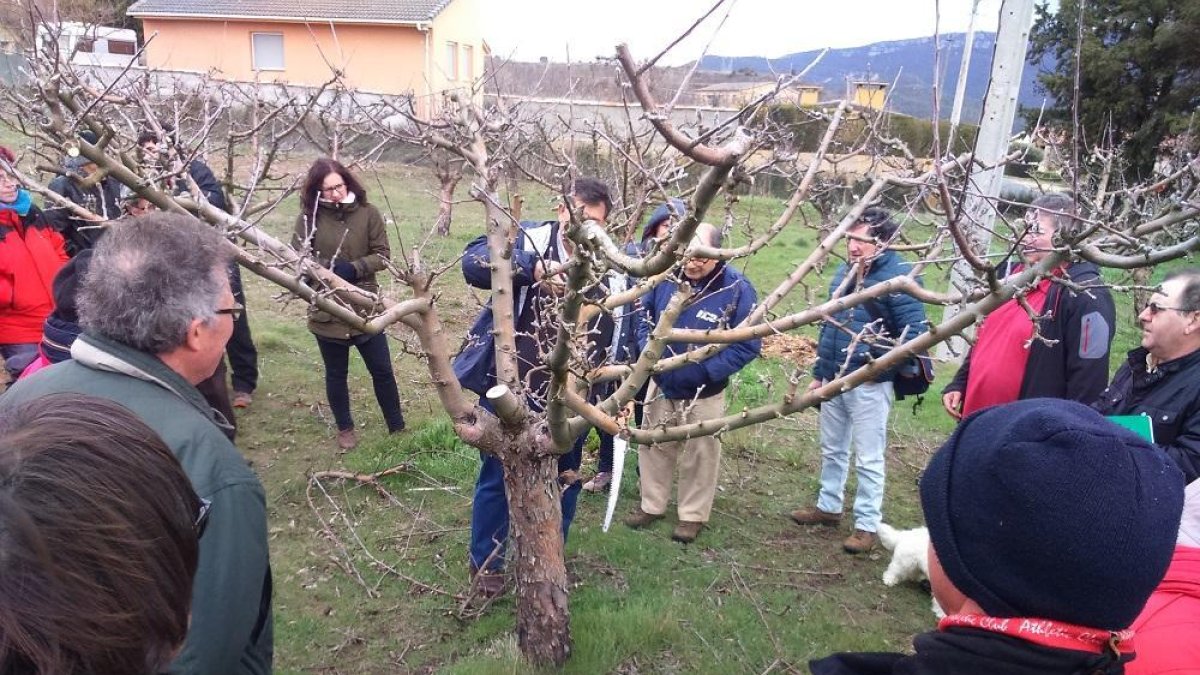 La asociación burgalesa forma a los productores en nuevas técnicas de trabajo con frutales.-PRODUCTORES CADERECHAS