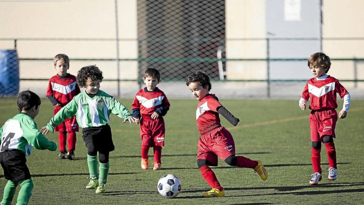 Encuentro entre los equipos de Escuela del Betis y el UD Sur.-J.C. CASTILLO