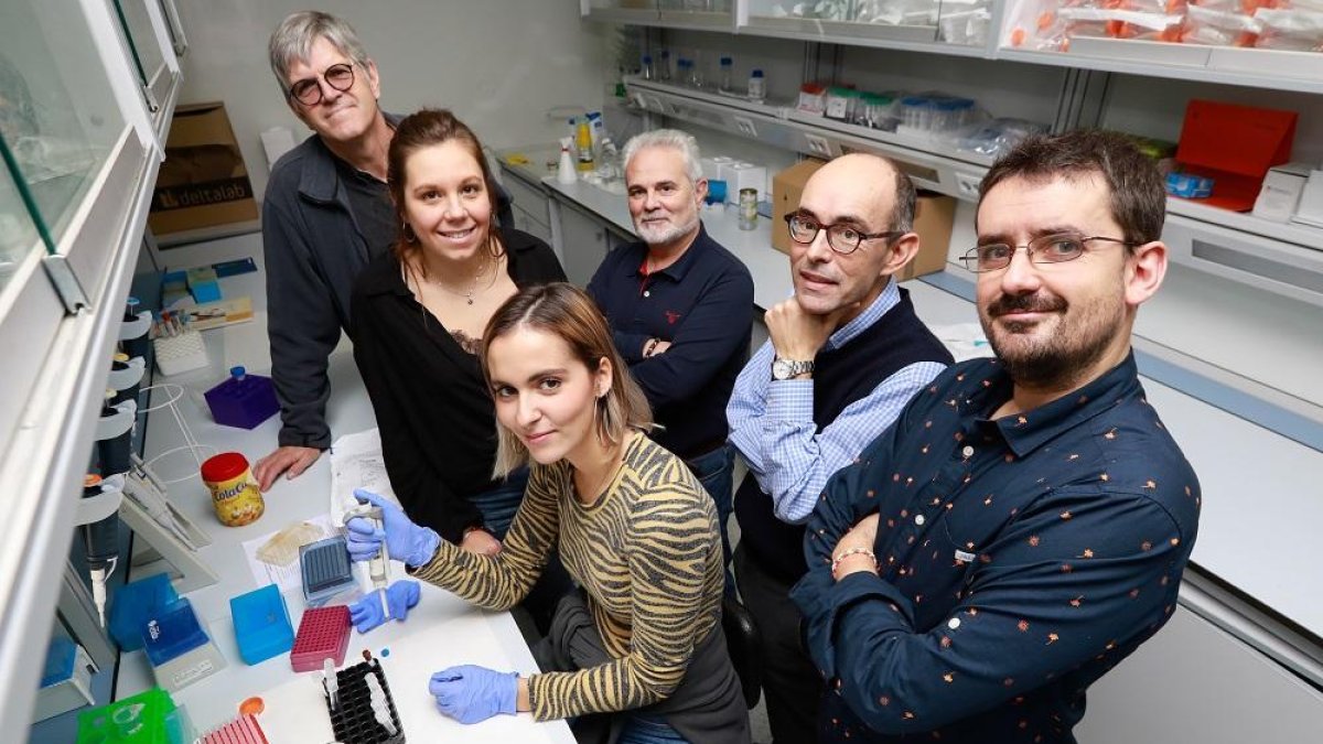 Investigadores participantes en la investigación en las instalaciones del IBGM de Valladolid.-JUAN MIGUEL LOSTAU