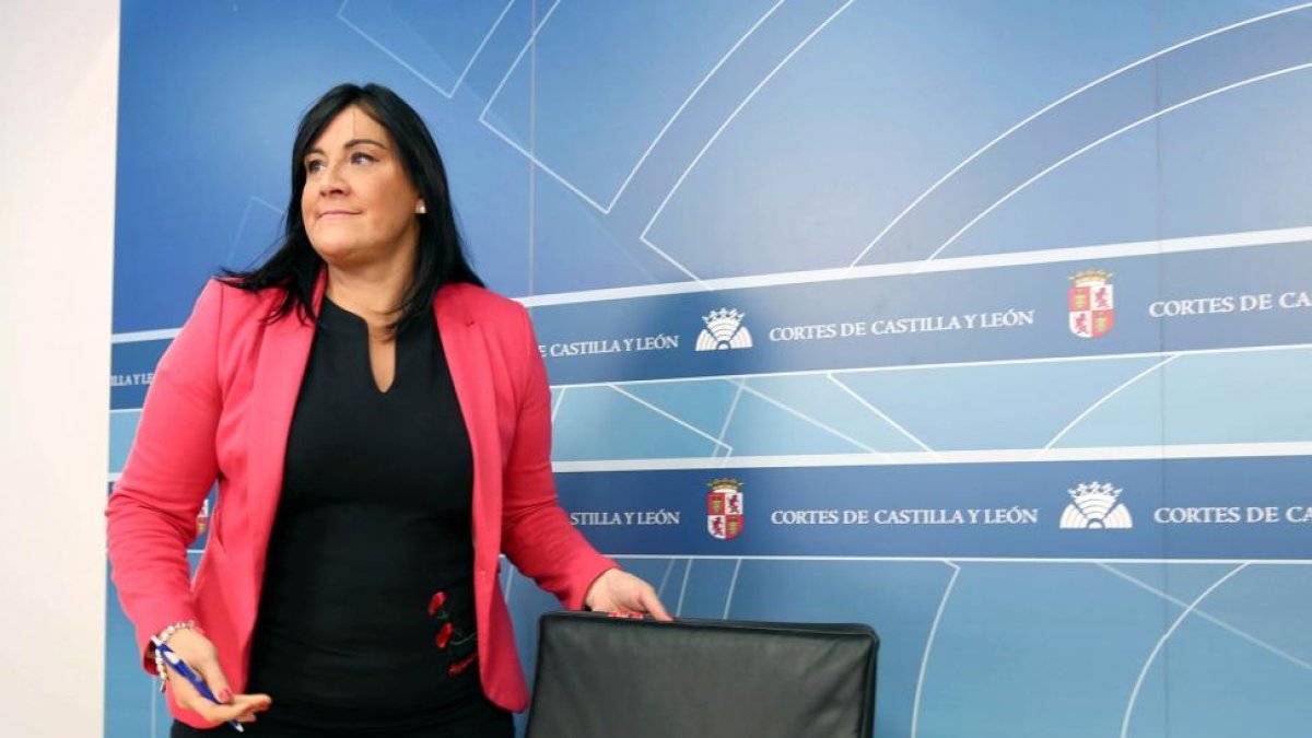 La secretaria de Organización del PSOE CyL y vicepresidenta de las Cortes, Ana Sánchez, analiza los asuntos de la actualidad política autonómica-ICAL