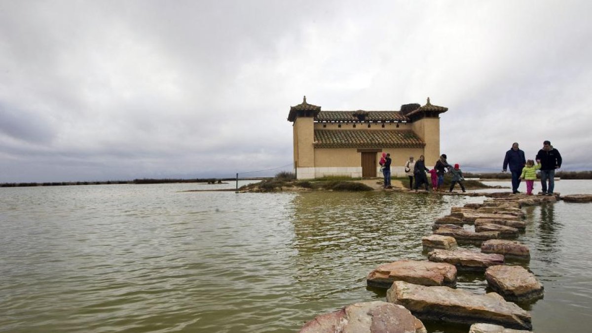 Un grupo de turistas abandona uno de los observatorios de aves en una de las lagunas de Villafáfila.-ICAL