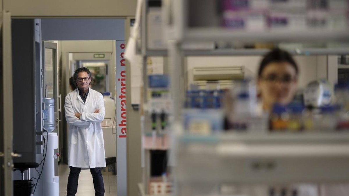 El investigador Juan Pedro Bolaños en las instalaciones de la Universidad de Salamanca.-ENRIQUE CARRASCAL