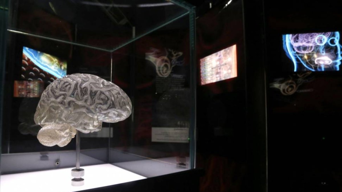 Exposición ‘Ilusionismo ¿Magia o Ciencia?’ de la Fundación La Caixa-Ical
