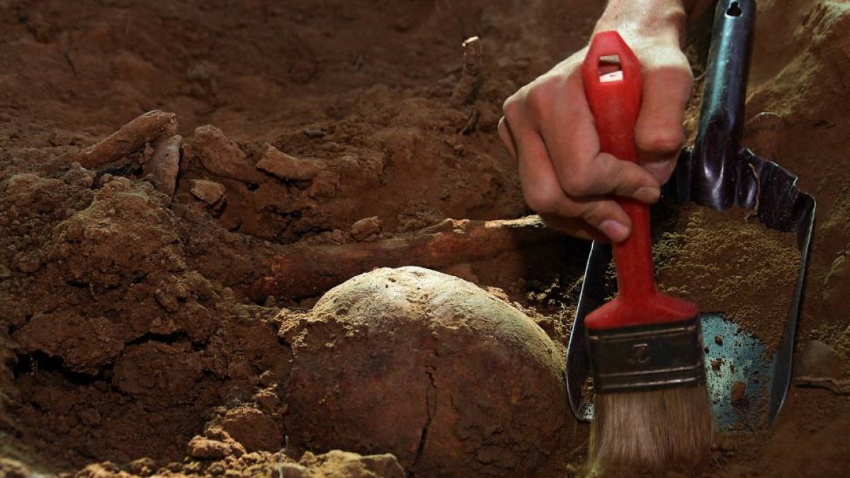 La ARMH trabaja en la exhumación de varias fosas comunes de víctimas de la dictadura franquista localizadas en Casasola de Rueda.-ICAL