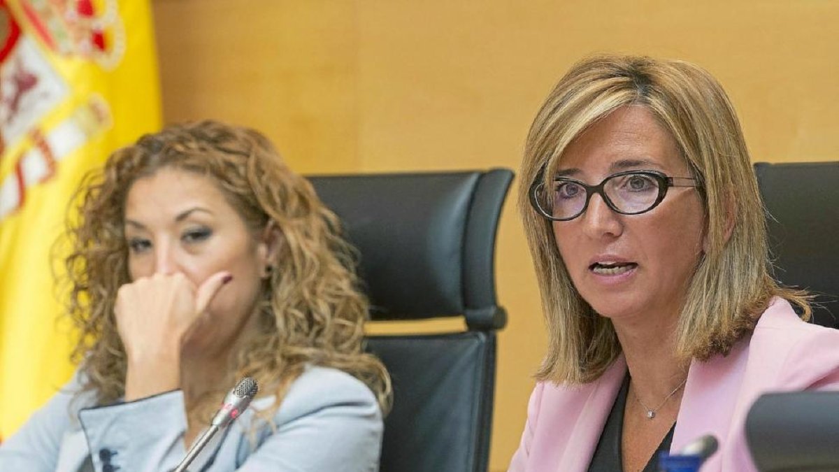 Alicia García, en una imagen de archivo durante una comparecencia en las Cortes.-E. M.