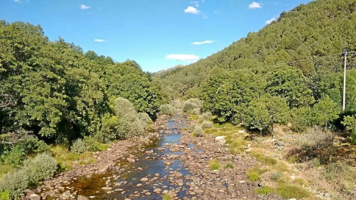 El río Tormes, a su paso ayer por la localidad abulense de Navamediana.-El Mundo