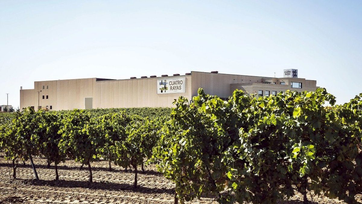 Bodega Cuatro Rayas, en la localidad vallisoletana de La Seca.- CUATRO RAYAS