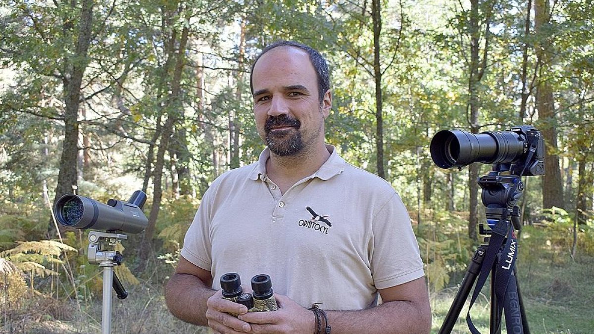 Felipe Nebreda en pleno avistamiento en el Pinar de Hoyocasero en Gredos .-ARGICOMUNICACIÓN