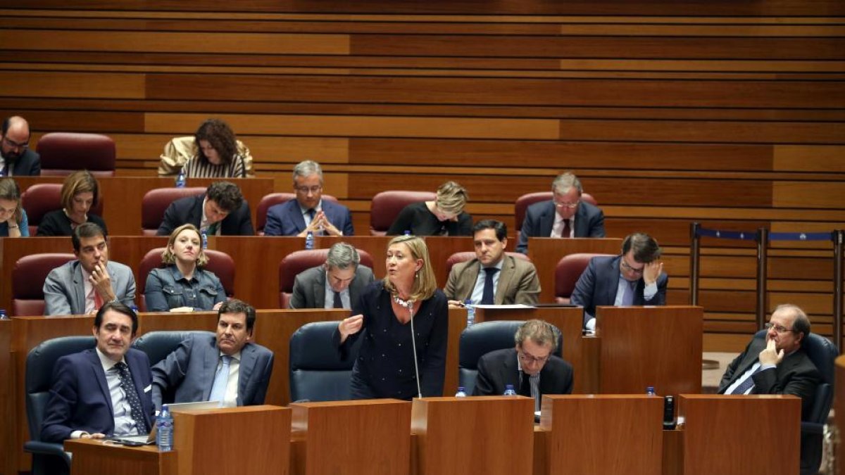 La consejera de Economía, Pilar del Olmo, interviene en el Pleno de las Cortes de Castilla y León.-MIRIAM CHACÓN / ICAL