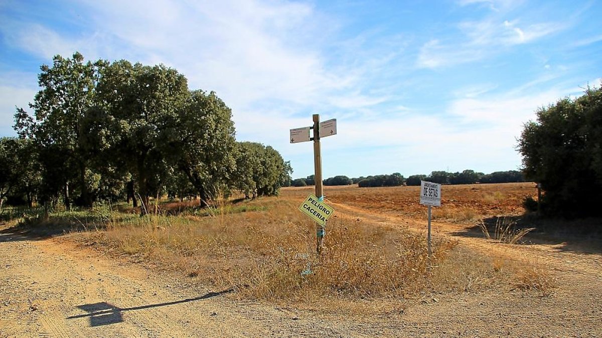 Entrada a la finca en la que tuvo lugar ayer el mortal accidente.-LEONARDO DE LA FUENTE
