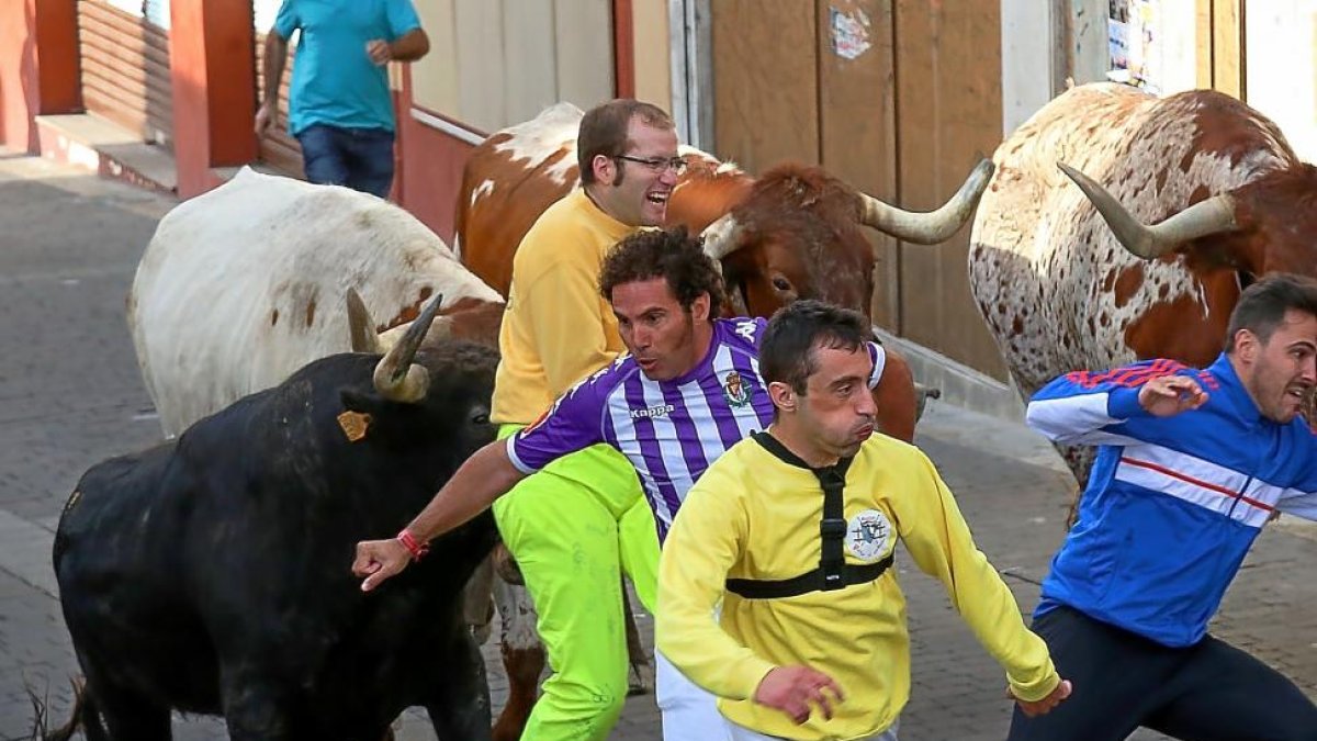 Momento del encierro en el que el astado arremete y cornea a uno de los corredores en la espalda.-ICAL