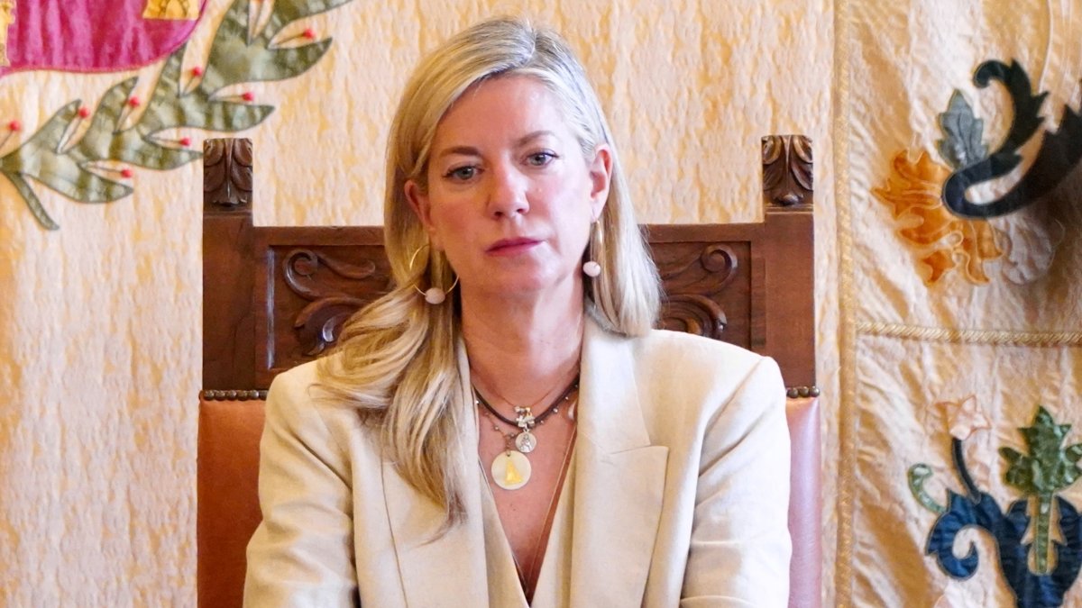 Irene Carvajal en una imagen de archivo. -ICAL